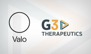 G3 Valo partnership