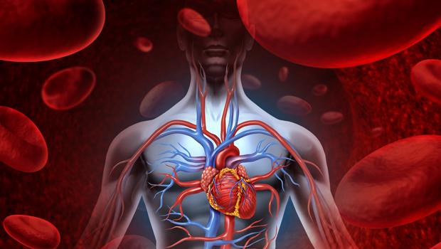 Identification of Novel Cardiovascular Disease Pathways, Biomarkers